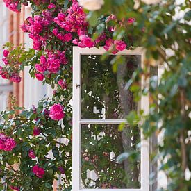 Fenster mit Rosen von Torsten Krüger