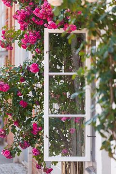 Fenster mit Rosen