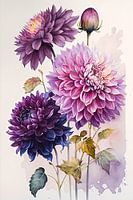 Lila Dahlie Aquarell