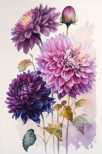 Purple Dahlia watercolour by Vlindertuin-Art