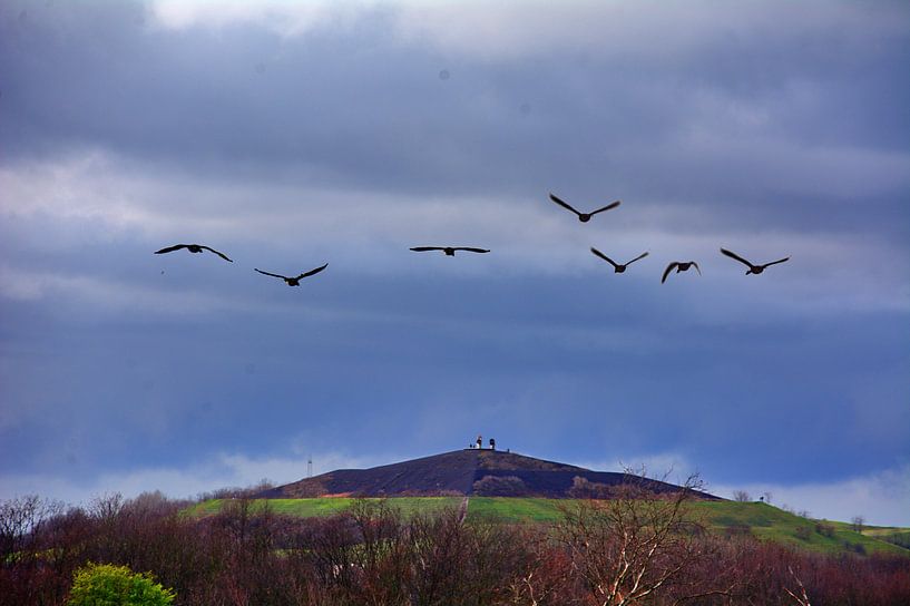 Haldenflug par Edgar Schermaul