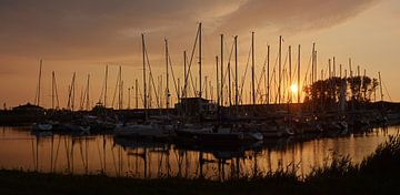 Haven Oudeschild Texel van Ronald Timmer