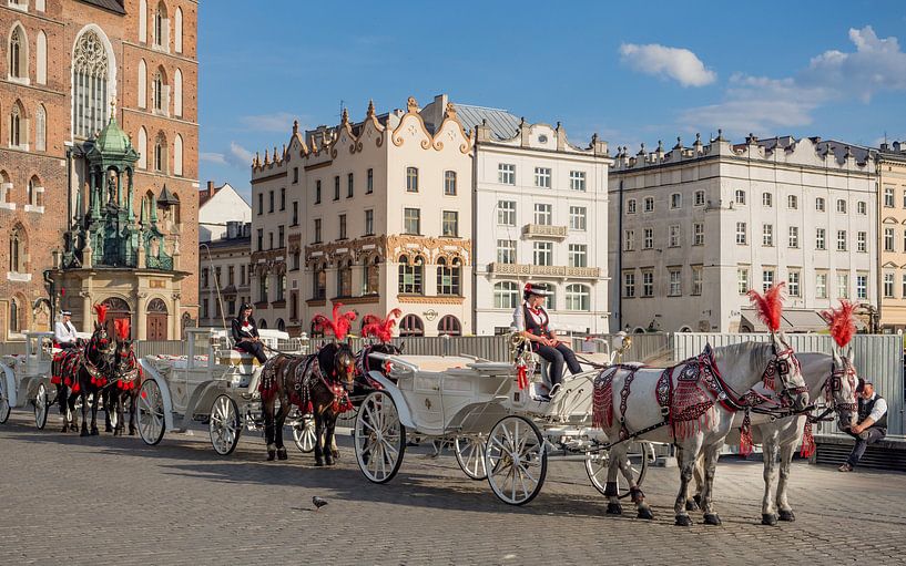 Festlich geschmückte Pferdekutschen in Krakau von Stijn Cleynhens