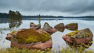 Sweden von Harro Jansz