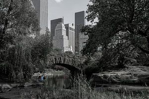 New York      Central Park sur Kurt Krause