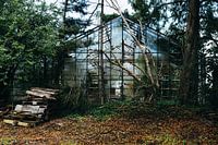 Verlorenes Gewächshaus