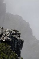 Tafelberg Kaapstad in de mist