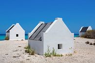 Weiße Sklavenhäuser am blauen Meer an der Küste der Insel Bonaire von Ben Schonewille Miniaturansicht