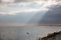 Jacobsladder Volendam | paysage