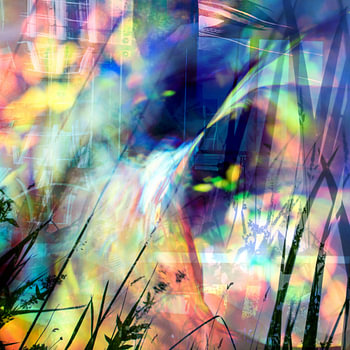 Gras en Glitter