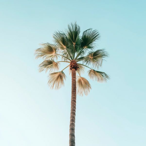 Palme Himmel von Poster Art Shop