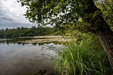 Kolkven Oisterwijk sur Carin IJpelaar