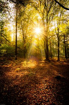 Surcharge des rayons du soleil
