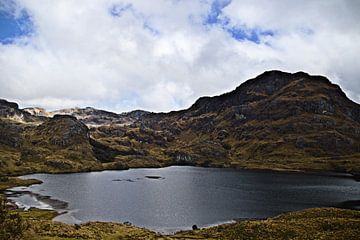 Cajas Nationaal Park, Ecuador van Karsten van Dam