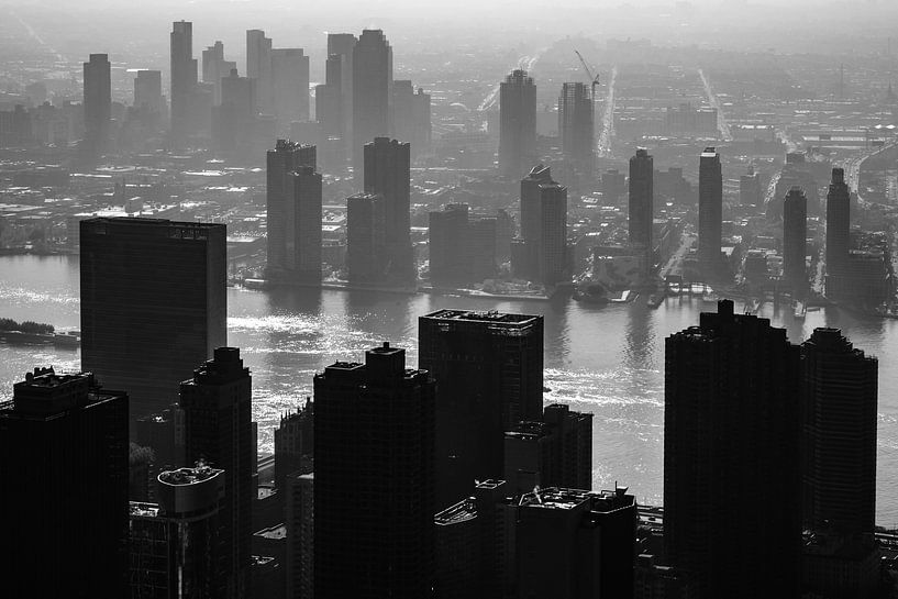 Uitzicht vanaf Empire State Building van Eddy Westdijk