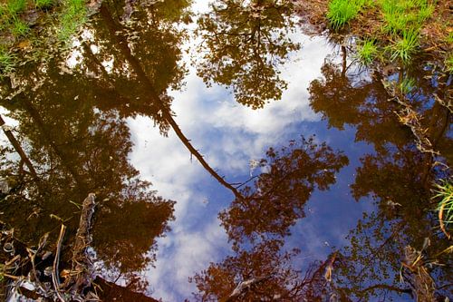 Spiegelbeeld