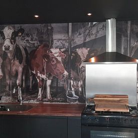 Klantfoto: Koeien in oude koeienstal van Inge Jansen, als naadloos behang