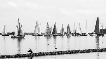 Sailing race Veerse Meer by Marian Sintemaartensdijk