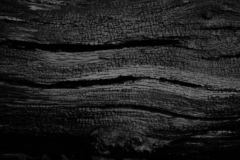 waves in wood structure by Karel Ham