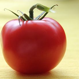 Tomate von Azucena Kouwenhoven
