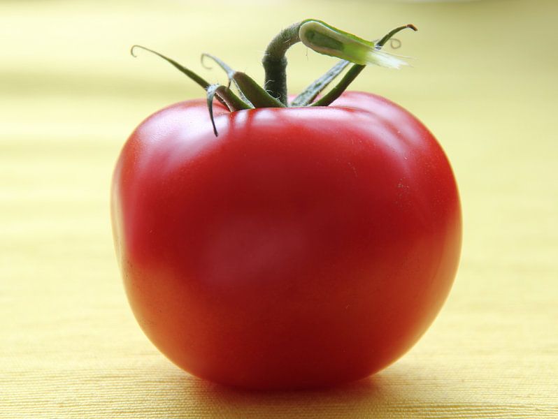 Tomate by Azucena Kouwenhoven
