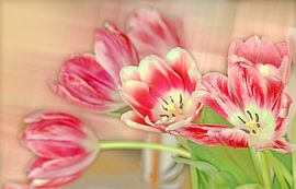 Tulpenstrauß by Roswitha Lorz