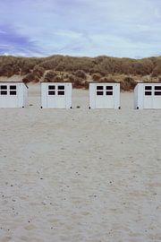 Texel beach huts