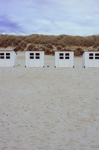 Texel strandhuisjes