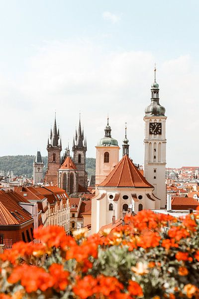 Prague by Hello Pompoyo