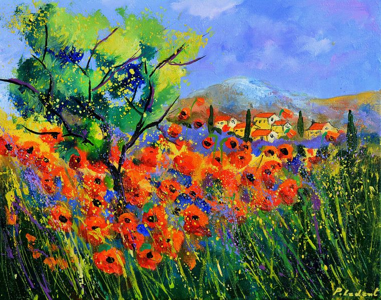 Mohn in der Provence von pol ledent