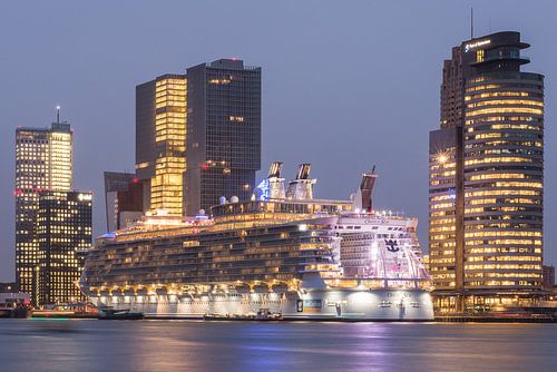 Oasis of the seas in Rotterdam