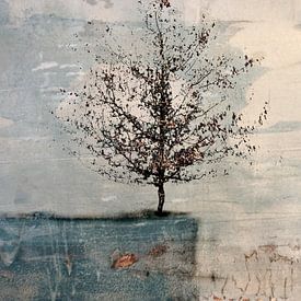 Baum auf blauem Felsen von Esther Wijntje