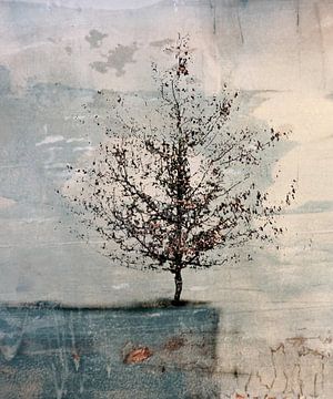 Baum auf blauem Felsen von Esther Wijntje