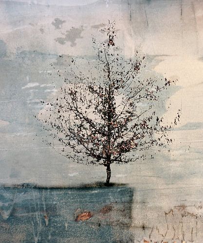 Tree on blue rock by Esther Wijntje