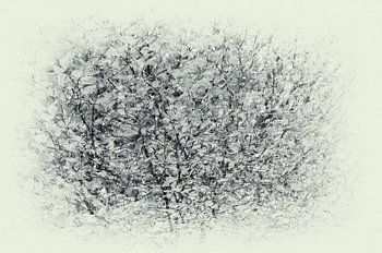 Bladerdek,  zwart/witmeervoudig belicht