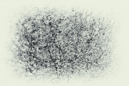 Canopy, black and white multi-exposed by Kitty Stevens
