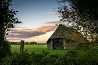 Sheepfold in evening light