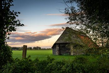 Sheepfold in evening light