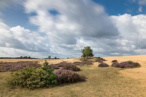 Dynamische wolkenlucht op de Hoge Veluwe sur Karin de Jonge