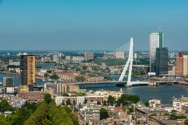 Rotterdam met de Erasmusbrug van Brian Morgan