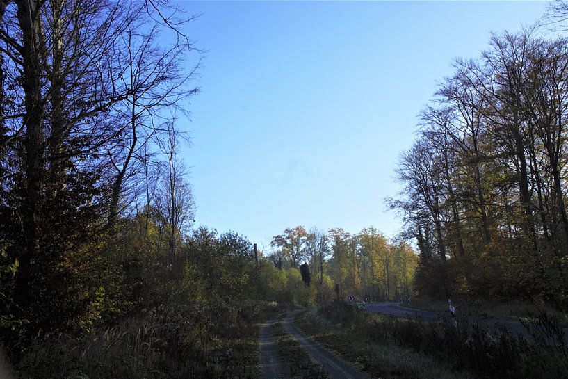 Route forestière par JM BilderBude