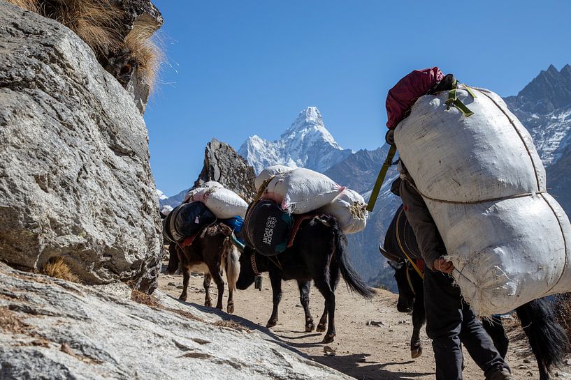 Nepal auf dem Weg. von Ton Tolboom
