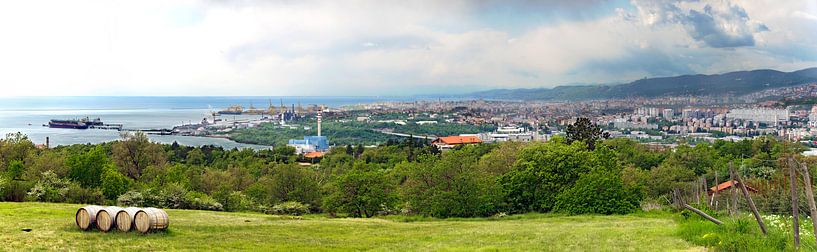 Panorama von Triest von Leopold Brix
