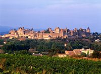 Cité de Carcassonne en wijngaarden 22