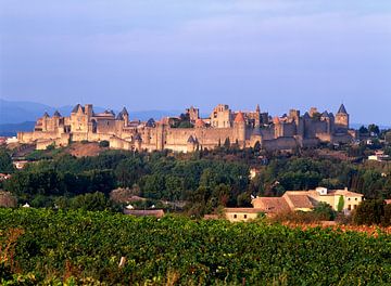 Cité de Carcassonne en wijngaarden 22 van Serge Sautereau
