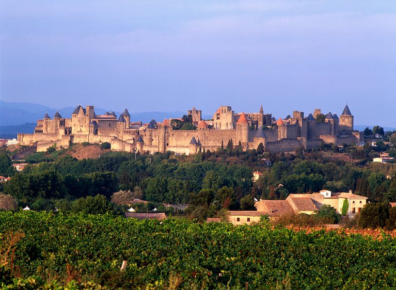 Cité de Carcassonne en wijngaarden 22 van Serge Sautereau