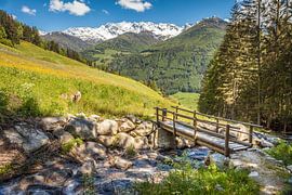 Brug over de Frankbach op het Ahrntal Zonnepad bij St. Jakob, Zuid-Tirol van Christian Müringer