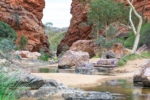Een rode kloof, de Glen Helen Gorge, in de West MacDonnell Ranges in landscape