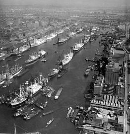 Maashaven Rotterdam 1958 Luftbildaufnahme