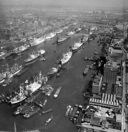Maashaven Rotterdam 1958 Photo aérienne